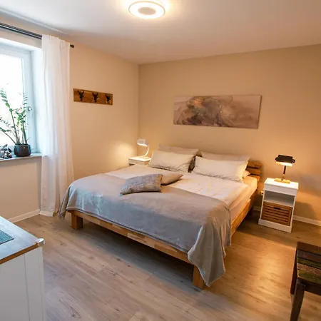 Apartment Meine Room photo
